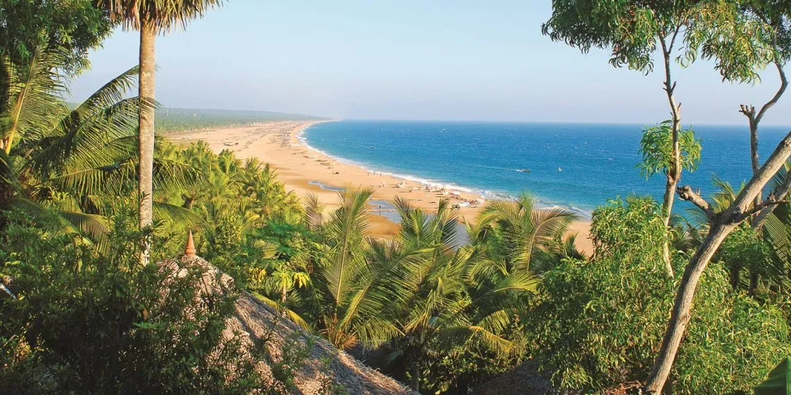 Nikki's Nest Nikki's Nest