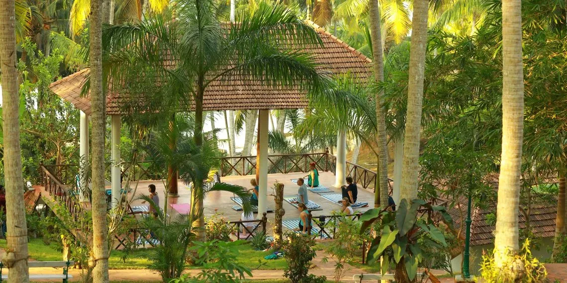 Nikki's Nest Nikki's Nest