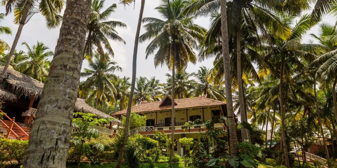 Nikki's Nest Nikki's Nest