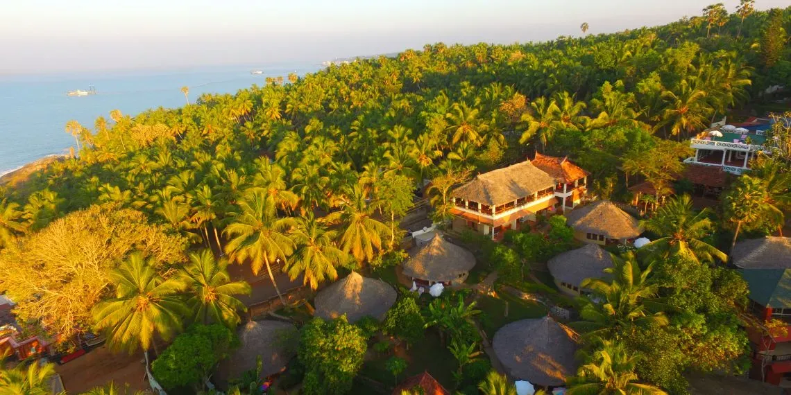 Nikki's Nest Nikki's Nest