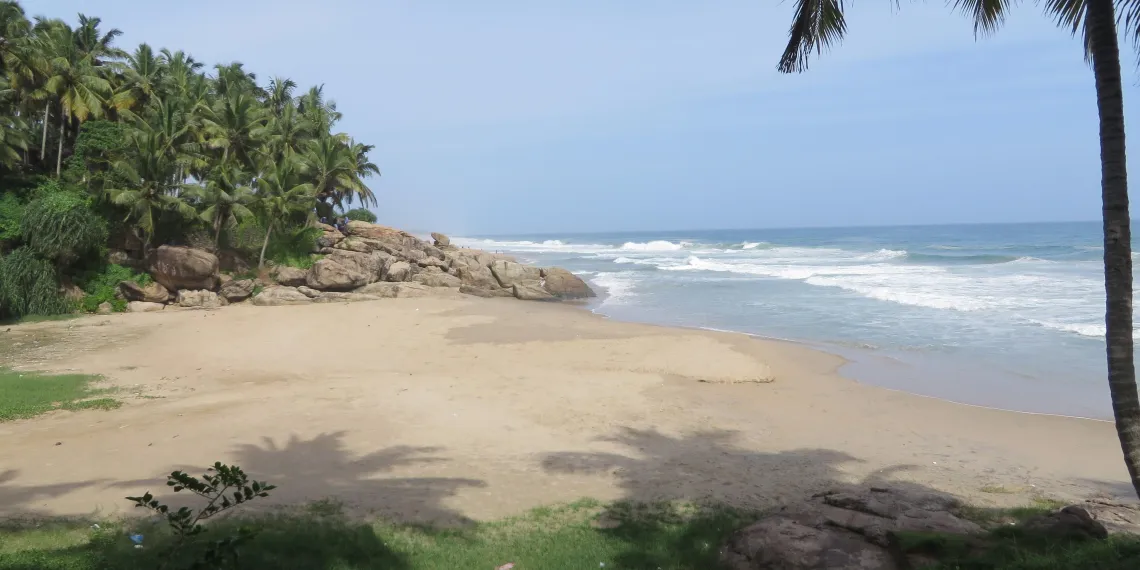 Nikki's Nest Nikki's Nest