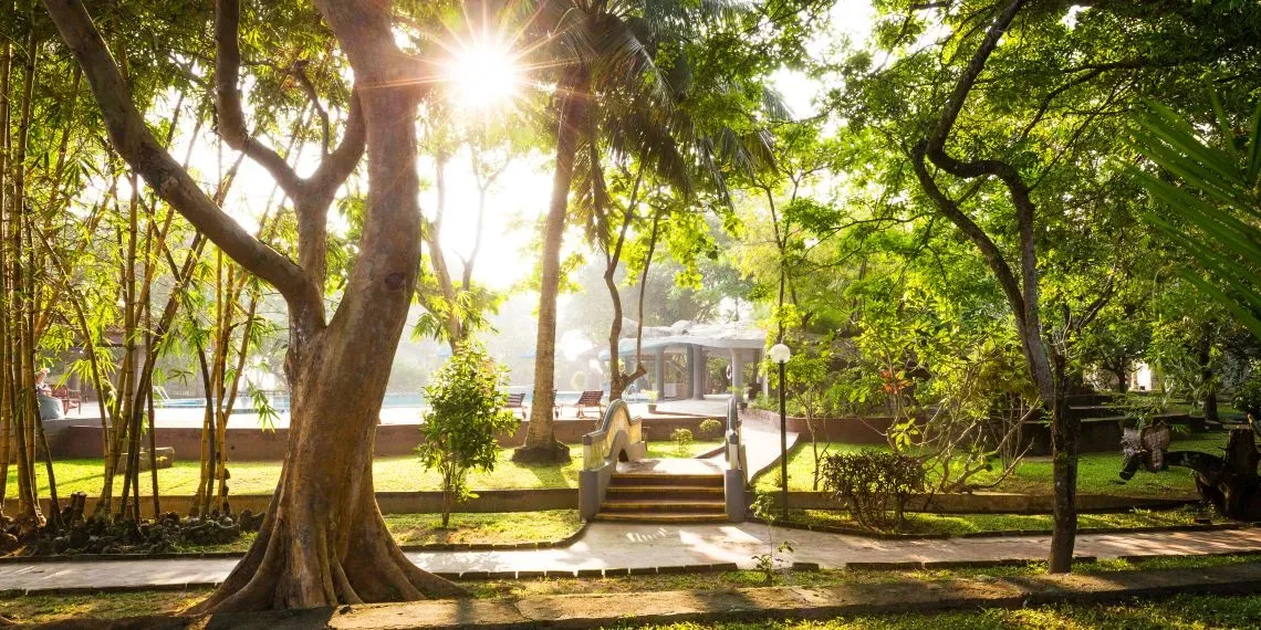 Siddhalepa Ayurveda Health Resort Siddhalepa Ayurveda Health Resort