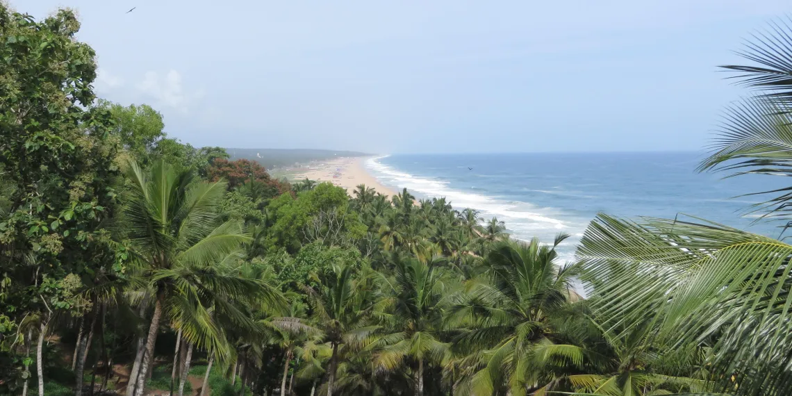 Nikki's Nest Nikki's Nest