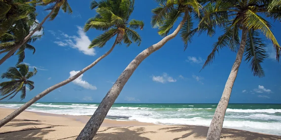 Haritha Villas & Spa Haritha Villas & Spa