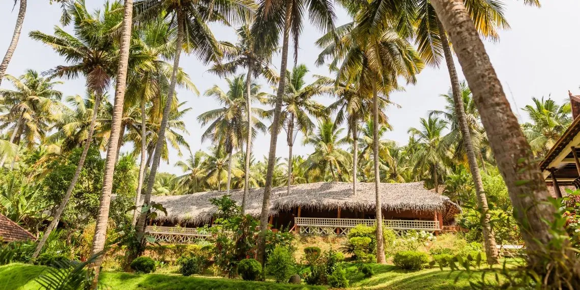 Nikki's Nest Nikki's Nest