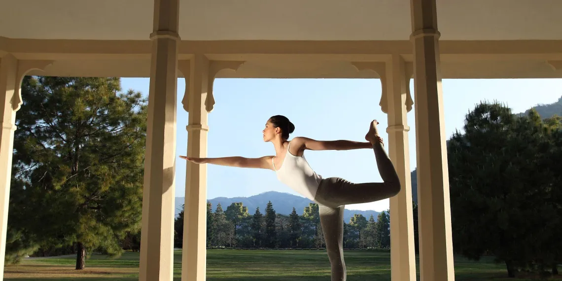 Ananda in the Himalayas Ananda in the Himalayas