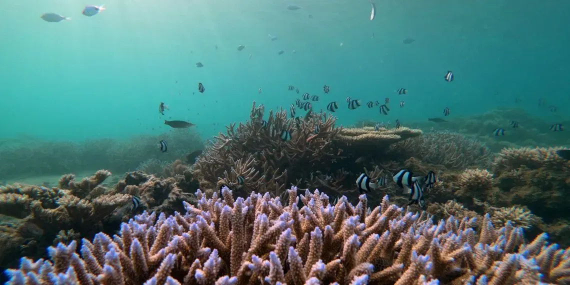 Shanti Maurice Resort & Spa Shanti Maurice Resort & Spa