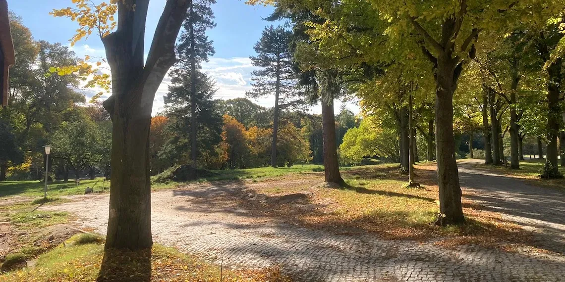 Park | Park Am See Ayurveda Retreat Park | Park Am See Ayurveda Retreat